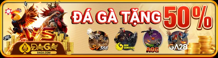 Đá gà tặng 50% – đấu trường chiến kê sôi động